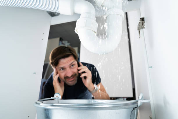 Best Local Plumber Services  in Cokato, MN