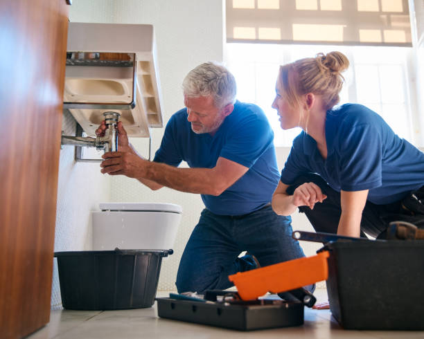 Best Septic Systems  in Cokato, MN